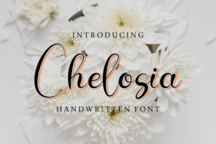 Chelosia: A Script Font with Character