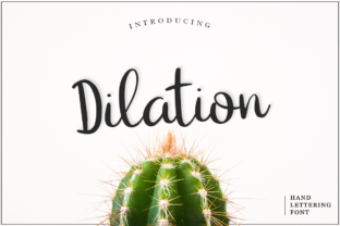 Dilation: A Versatile Script Font for Modern Campaigns