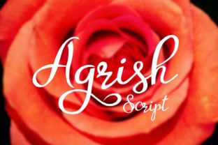 Font Choice That Matters: How Agrish Elevates Campaign Design