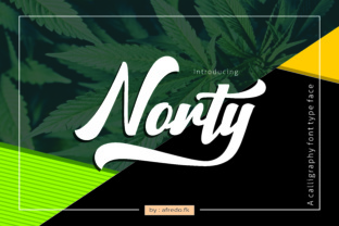 Font That Makes Your Brand Stand Out: Norty