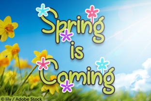 Spring is Coming: A Font That Brings Fresh Energy to Your Brand